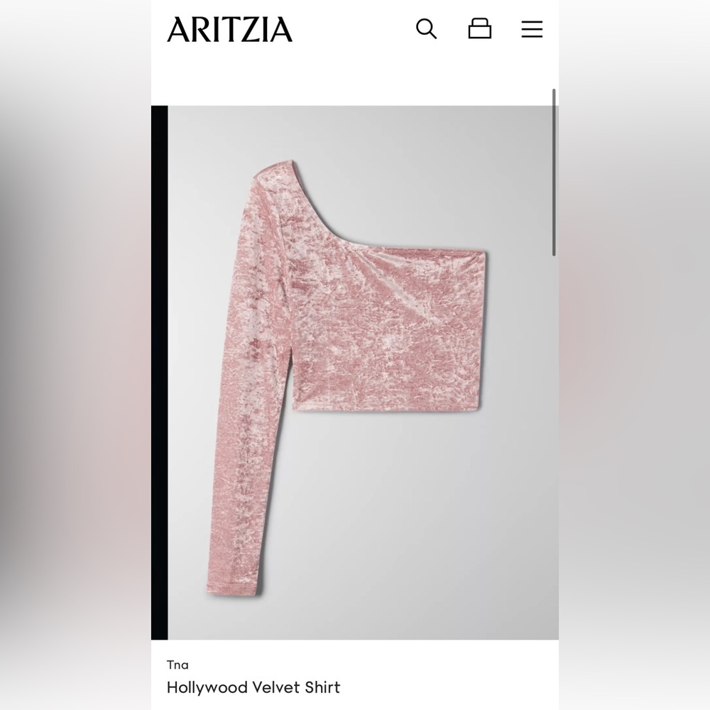 Aritizia Hollywood Velvet Shirt